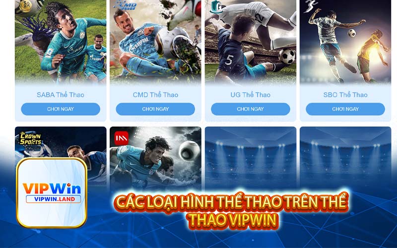 Các loại hình thể thao trên Thể Thao Vipwin
