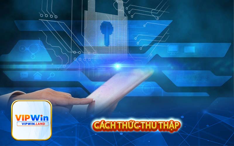 Cách thức thu thập
